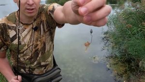 Тест приманок и аттрактант на самодельные приманки своими руками для рыбалки рыбацкие самоделки