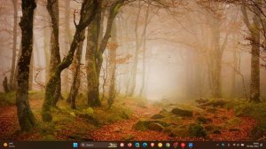 Microsoft starts removing new Bing from Windows Taskbar search box | Search Highlights icon info