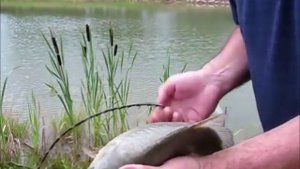 ЛОВЛЯ КАРПА и ЩУКИ ( 2 СЕРИЯ ) Рыбалка / Карп / Щука / Fishing fun