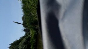 Как вырос кларевый сом за 20 дней в пруду