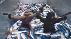 Я РЖАЛ ЦЕЛЫЙ ЧАС?ПОДБОРКА СМЕШНЫХ КОТОВ И СОБАК ДЛЯ ХОРОШЕГО НАСТРОЕНИЯ? #8