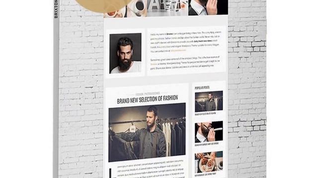 Brixton - A Responsive WordPress Blog Theme Free Download
