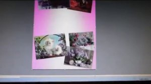 Создаём открытку в программе Microsoft Office Publisher