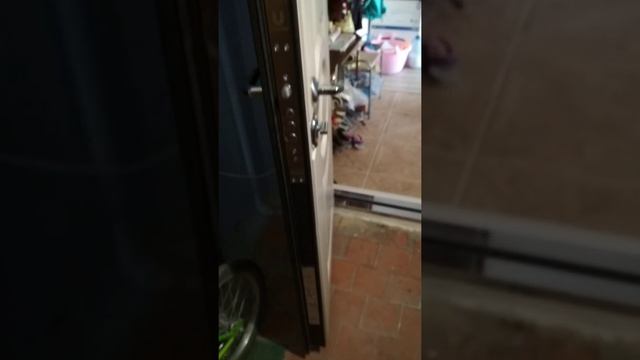 Входная дверь Торекс! 4 августа 2020 г. смотреть онлайн