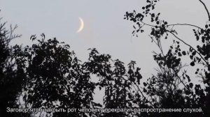 Заговор чтоб закрыть рот человеку