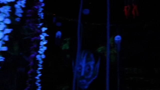 ГДЕ ОТМЕТИТЬ ДЕНЬ РОЖДЕНИЯ в СОЧИ? ● КВЕСТЫ в РЕАЛЬНОСТИ ● Жизнь в Сочи смотреть онлайн