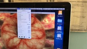 Замена Батареи MacBook Pro 13” Mid 2010 A1278 своими руками