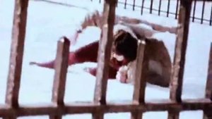 Italian Stallion (1970) - Trailer