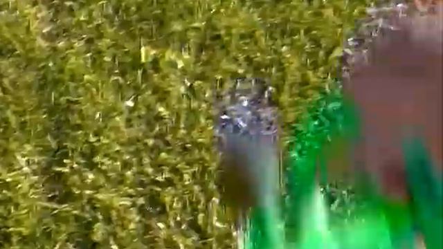 Подкормка газона смотреть онлайн