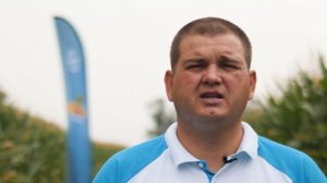 Как выбрать гибрид кукурузы для засушливых условий