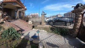 дом  обзор  виноградников..  покраска  деревьев..  и  скульптур  из  бетона.
