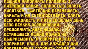 СТАРИННЫЙ РЕЦЕПТ ЛЕЧЕНИЕ ПОЧЕК ПШЕНОМ