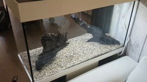 Juwel rio 125 LED inrichten en opstarten