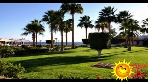 Отзывы отдыхающих об отеле  Reef Oasis Beach Resort 5*  г. Шарм-Эль-Шейх (ЕГИПЕТ)
