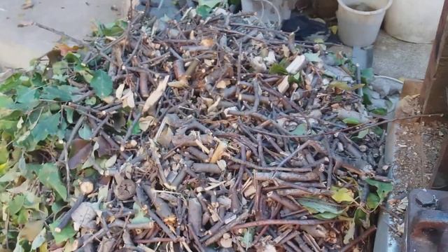 Веткоизмельчитель 220 вольт