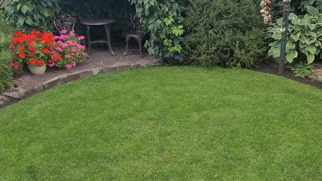 Сентябрьские работы в саду l Розы Гортензии Клематисы Газон Многолетники Подкормки и обработки смотреть онлайн