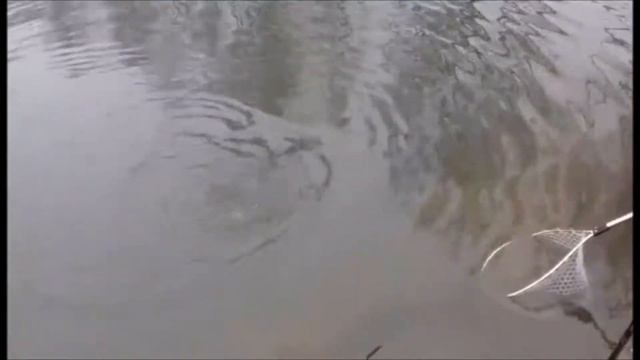 Рыбалка в Подмосковье и Москве(зимняя,летняя) смотреть онлайн