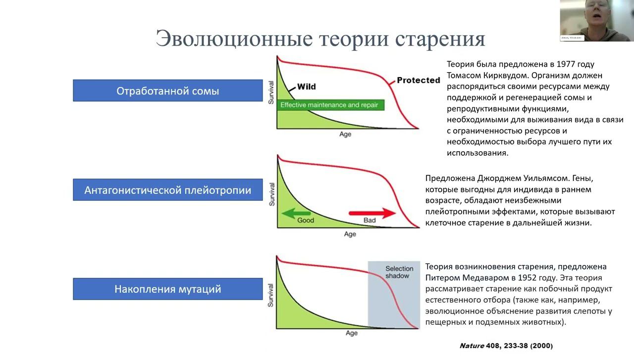 Генетические исследования старения и долголетия