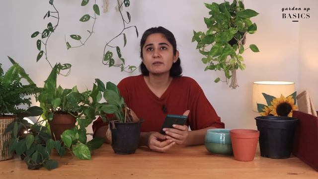 Top Gardening Questions Everyone Asks | Garden Up Basics Ep.26 смотреть онлайн