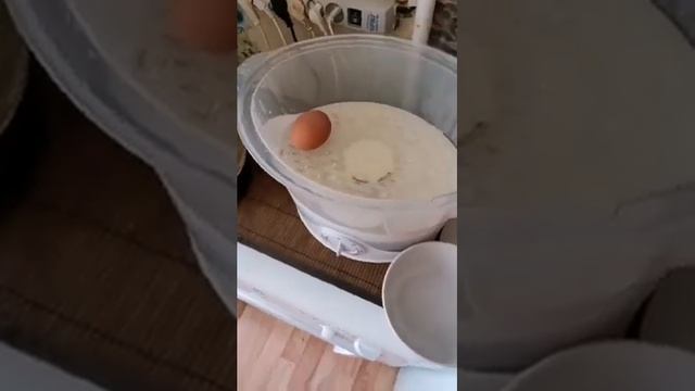 Варим яйца в пароварке. Кулинарная рубрика "Идём в обход". смотреть онлайн