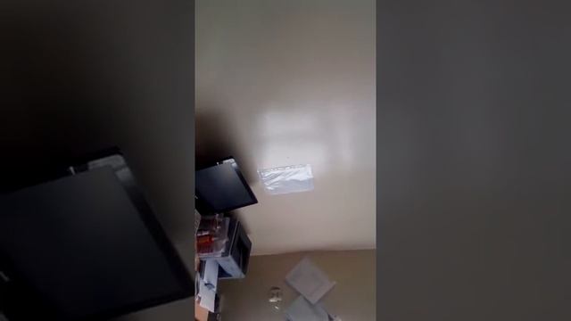 Аффидевит в мировой суд г Ульяновск 28 05 2018г 9 55 смотреть онлайн