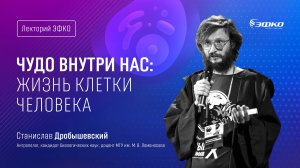 Лекторий «ЭФКО». «Чудо внутри нас: жизнь клетки человека» – доцент МГУ Станислав Дробышевский