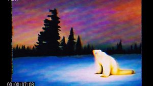 Медведь 2026 года