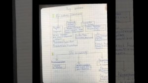 Проверочная по географии 7 класс