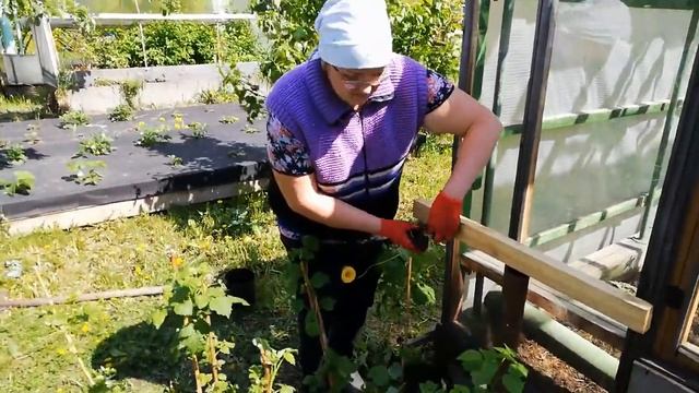 Работаю в малиннике смотреть онлайн