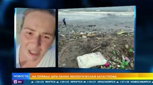 Экологическая катастрофа произошла на Шри Ланке