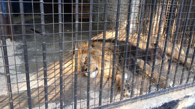 iPhone SE video test 4k / пример видео iphone se 4k смотреть онлайн