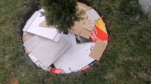 Приствольный круг из картона