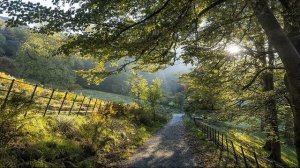 Мы каждый день экзамены сдаём