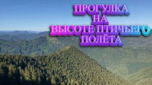 ПРОГУЛКА НА ВЫСОТЕ ПТИЧЬЕГО ПОЛЕТА ПО САМОЙ ВЕРХУШКЕ ГОРЫ ВПЕЧАТЛЯЕТ