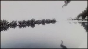 Агенты ЩИТ   Скай и Уорд