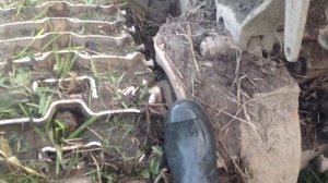 Трелёвочный трактор ТДТ 55