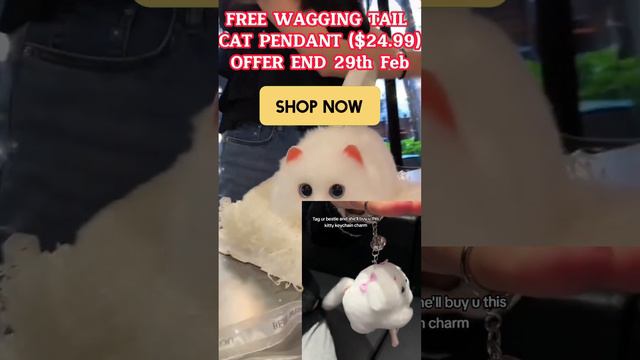 🐱👜Its not too late. Buy a Cat Plush Bag, Get a FREE Wagging Tail Cat Plush Pendant Worth $24.99 🐱🐱