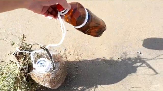 Как ловить креветки в Чёрном море