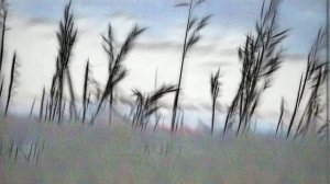 7б - Молодые ветра (Alexander Goman Piano Version)