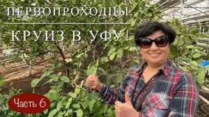 ПЕРВОПРОХОДЦЫ: КРУИЗ В УФУ! Часть 6. Какой лимонарий в Уфе! А ещё Ботанический сад и башкирский мёд!