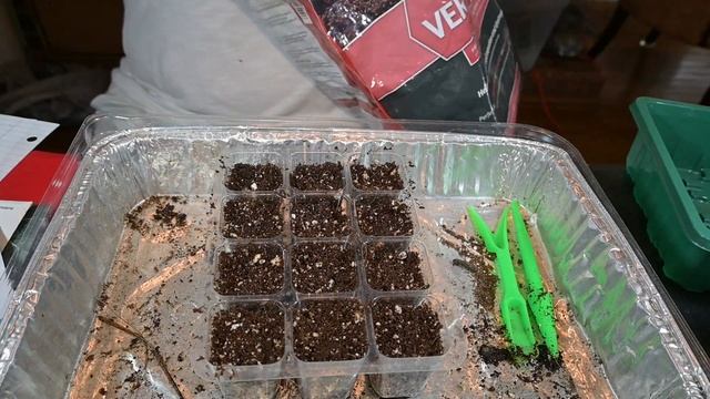 Winter sow update and dropping more seeds смотреть онлайн