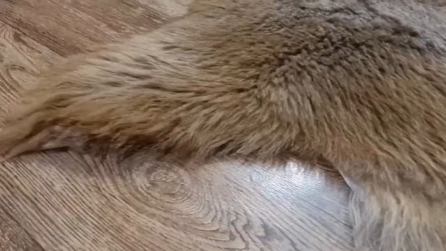 ОВЧИНА РЫЖЕ-КОРИЧНЕВАЯ (КОД: 4332) смотреть онлайн