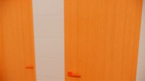 3D анимация облёта камерой загородного дома: Revit 2019 + плагин Enscape. (3D walkthrough).