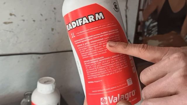 Малина Маравилла. RADIFARM - стимулятор корнеобразования