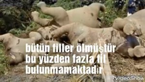 laos cumhuriyeti -sedef çeviker-