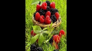 Сладка Я горька