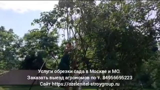 Услуги обрезки сада!Заказать вызвать агрономов по т. 84956695223,  https://ozelenitel-stroygroup.ru