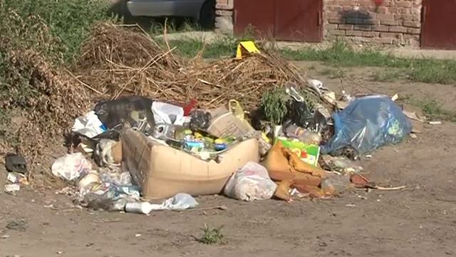 Мусорные контейнеры - альтернатива мусоровозу