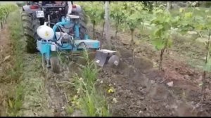Фреза приствольная (культиватор приствольной обработки) AGROFER универсальная с заменой насадок
