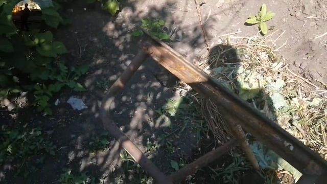 Будни на ДАЧЕ, заготовка ИВЫ на заборчики. смотреть онлайн